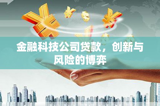 闽侯金融科技公司贷款，创新与风险的博弈