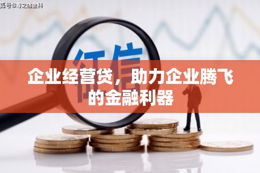 闽侯企业经营贷，助力企业腾飞的金融利器