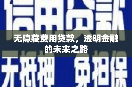 闽侯无隐藏费用贷款，透明金融的未来之路