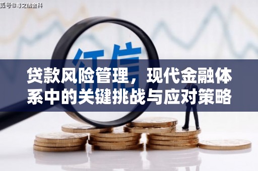 闽侯贷款风险管理，现代金融体系中的关键挑战与应对策略