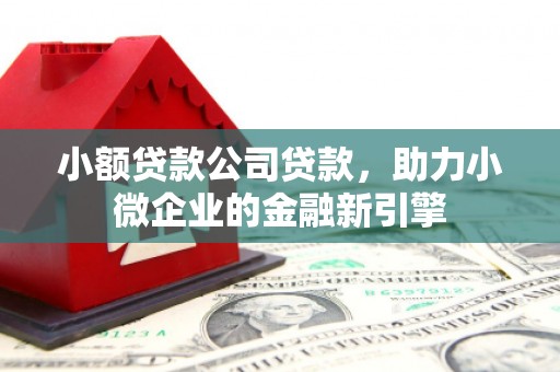 闽侯小额贷款公司贷款，助力小微企业的金融新引擎