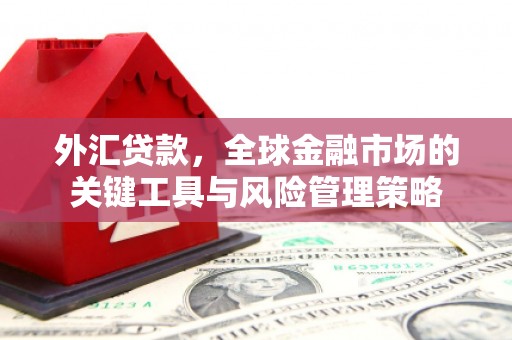 闽侯外汇贷款，全球金融市场的关键工具与风险管理策略