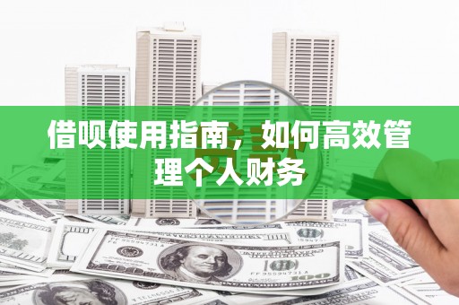 闽侯借呗使用指南，如何高效管理个人财务