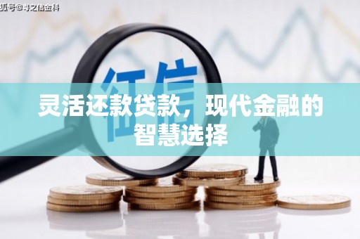 闽侯灵活还款贷款，现代金融的智慧选择