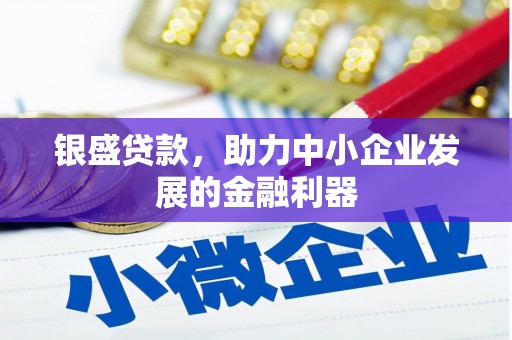 闽侯银盛贷款，助力中小企业发展的金融利器