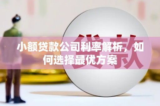 闽侯小额贷款公司利率解析，如何选择最优方案