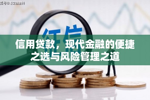 闽侯信用贷款，现代金融的便捷之选与风险管理之道