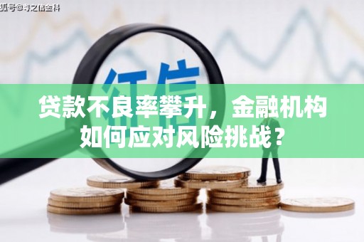 闽侯贷款不良率攀升，金融机构如何应对风险挑战？
