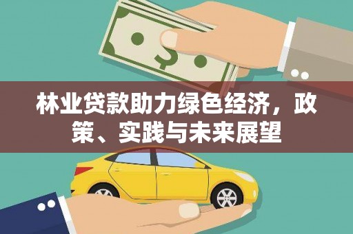 闽侯林业贷款助力绿色经济，政策、实践与未来展望