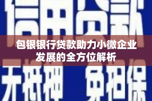 闽侯包银银行贷款助力小微企业发展的全方位解析