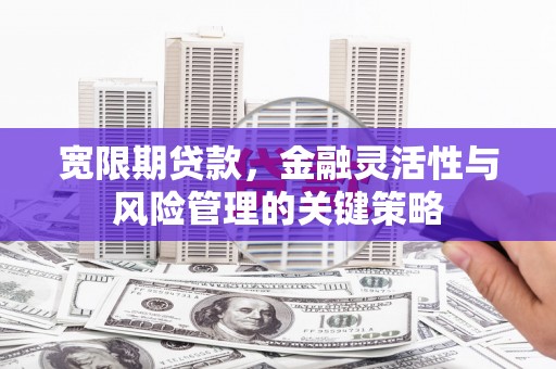闽侯宽限期贷款，金融灵活性与风险管理的关键策略