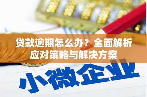 闽侯贷款逾期怎么办？全面解析应对策略与解决方案