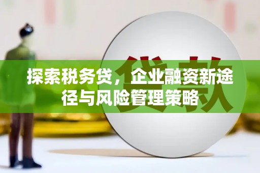 闽侯探索税务贷，企业融资新途径与风险管理策略