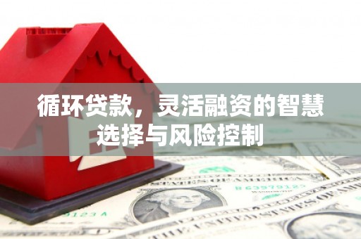 闽侯循环贷款，灵活融资的智慧选择与风险控制