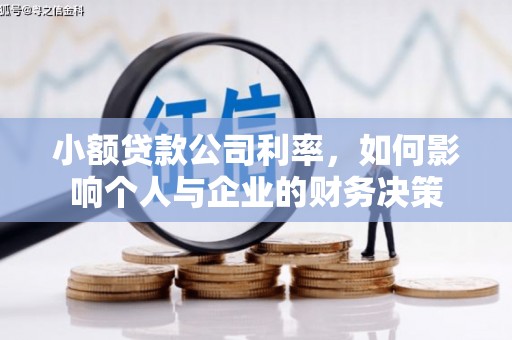闽侯小额贷款公司利率，如何影响个人与企业的财务决策
