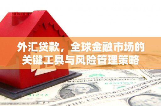 闽侯外汇贷款，全球金融市场的关键工具与风险管理策略