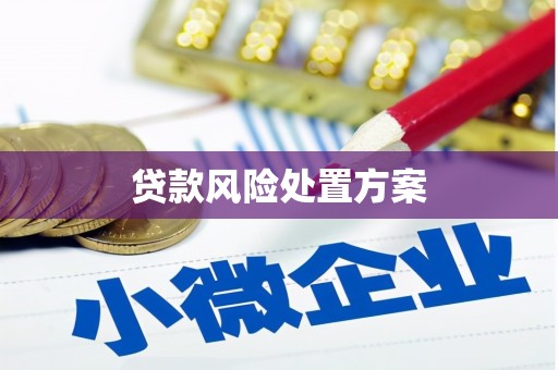 闽侯贷款风险处置方案