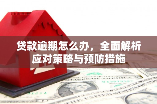 闽侯贷款逾期怎么办，全面解析应对策略与预防措施