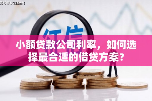 闽侯小额贷款公司利率，如何选择最合适的借贷方案？