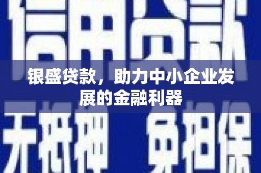 闽侯银盛贷款，助力中小企业发展的金融利器