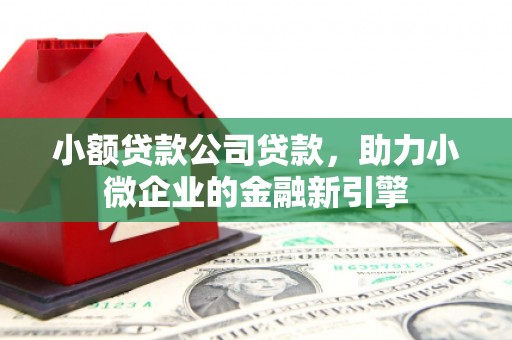 闽侯小额贷款公司贷款，助力小微企业的金融新引擎