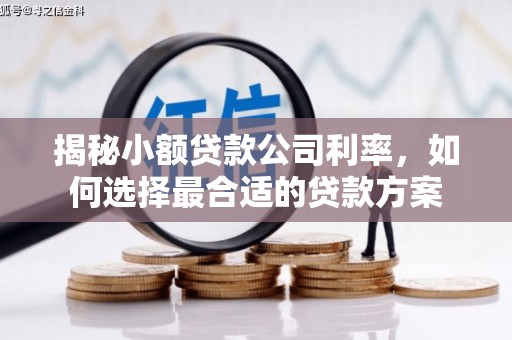 闽侯揭秘小额贷款公司利率，如何选择最合适的贷款方案