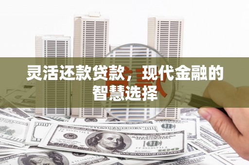 闽侯灵活还款贷款，现代金融的智慧选择