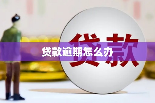 闽侯贷款逾期怎么办