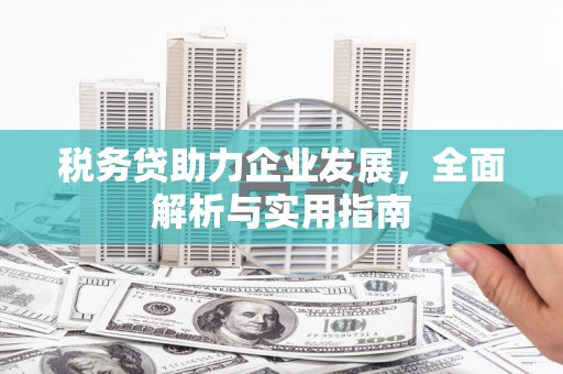 闽侯税务贷助力企业发展，全面解析与实用指南