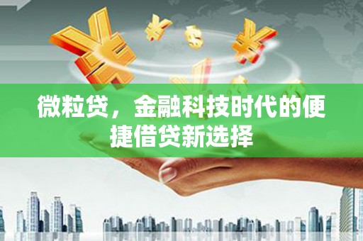 闽侯微粒贷，金融科技时代的便捷借贷新选择